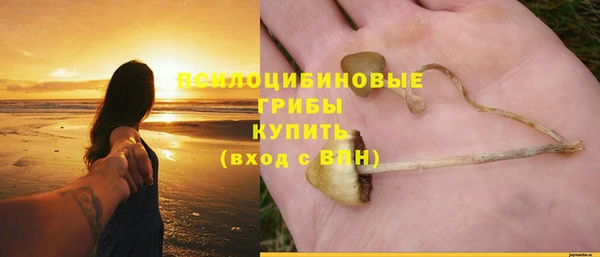 бутират Бронницы