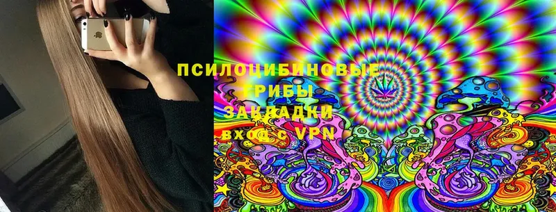 где продают   Красноуфимск  Галлюциногенные грибы Cubensis 